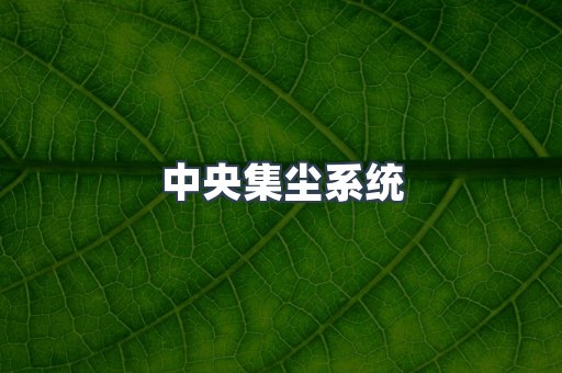 中央集尘系统